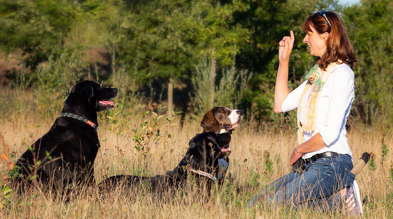 Hundeschule und Welpenschule Dortmund - Welpenkurse