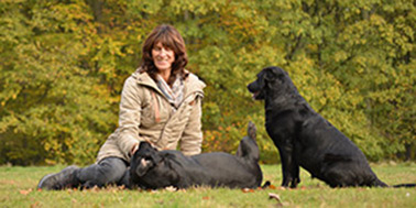 Hundeschule Dortmund Galerie Bild 1