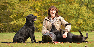 Hundeschule Dortmund Galerie Bild 1