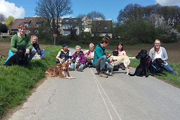 Hundeschule Gesundheitsspaziergänge