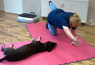 Hundeschule Sportschule