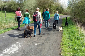 Hundeschule Gesundheitsschule Gesundheitsspaziergänge in Holzen