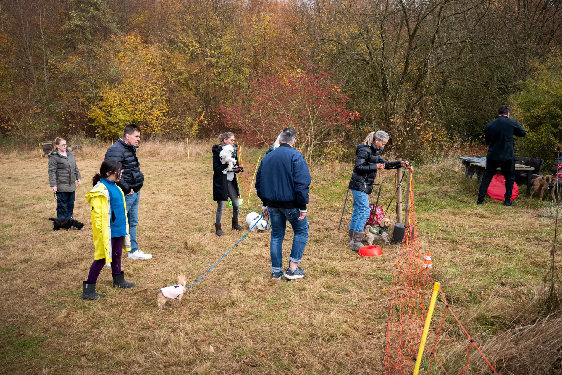 Stefanie Riemer HundeschuleN Dortmund Hundewiese mit Kunden Hintergrundbild 1