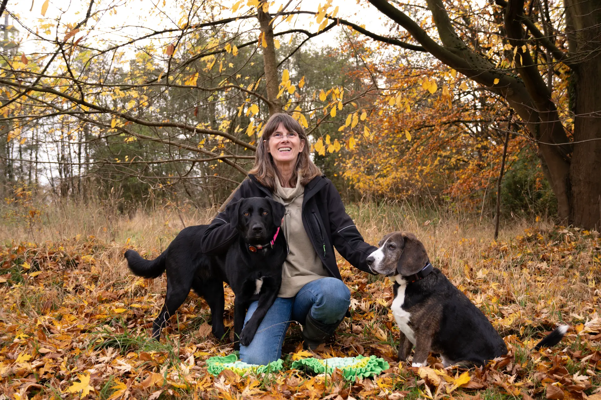 Stefanie Riemer HundeschuleN Dortmund mit zwei Hunden Labrador Retriever Mischling und Beagle Mischling